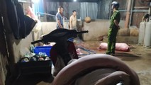Tiếp bài “Heo lậu chiếm lĩnh thị trường Đồng Nai“: Cần địa điểm giết mổ tập trung để giải quyết vấn đề tận gốc