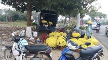 Xứ ngàn hoa “cháy hoa” chiều 30 tết