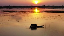 Hồng Ngự bình yên những ngày nước nổi