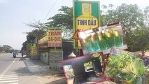 Các sản phẩm tinh dầu tràm tại hai xã Lộc Thủy và Lộc Tiến hiện đang khan hiếm.