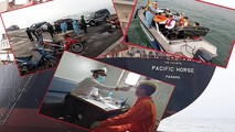 Các thuyền viên được tiến hành kiểm tra sức khỏe trước khi đưa về khu vực cách ly.