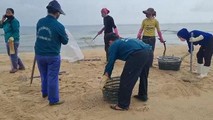 Công nhân môi trường biển triển khaii thu gom các vệt dầu loang trôi dạt vào dọc bờ biển TP Đồng Hới.