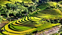 Di tích quốc gia đặc biệt ruộng bậc thang Mù Cang Chải