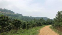 Vĩnh Phúc: Không có hiện tượng khai thác đất tại khu vực núi Đinh và núi Đúng