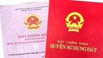 Ảnh minh họa: internet.