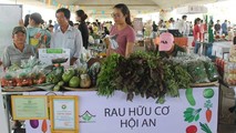 Hình minh họa