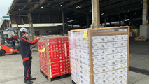Dự kiến sẽ có khoảng 1.000 tấn vải thiều tươi được xuất khẩu sang Nhật Bản trong năm nay.