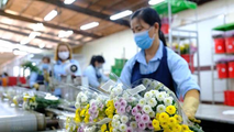 Ông Hoàng Trung - Cục trưởng Cục BVTV - khẳng định thông tin Cục BVTV đột ngột cấm dùng hoạt chất Glyphosate là không chính xác.