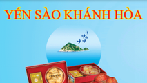 Yến sào Khánh Hòa.