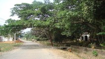 Làng cười hôm nay vẫn giữ nguyên nét đẹp nguyên sơ, cổ kính