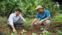 Anh Tòa (trái) hướng dẫn kỹ thuật trồng đàn hương cho khách