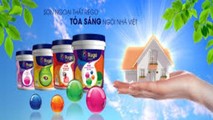 Sơn Rego - Tỏa sáng ngôi nhà Việt