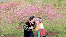 (ảnh minh họa)
