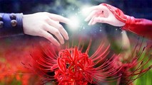 Truyền thuyết về hoa bỉ ngạn - Loài hoa thức tỉnh ái tình