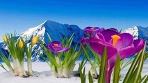 Nghiệp quả rủi - may, Nhân duyên chuyển nghiệp