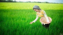 Người xưa nhìn hiện tượng dự đoán thời tiết để áp dụng sản xuất (Ảnh minh họa)