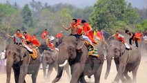 Lễ hội đua voi ở Tây Nguyên