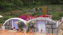 Tình sử bi thương về chủ nhân hai ngôi mộ đã làm nên tuyệt phẩm "Đồi thông hai mộ"