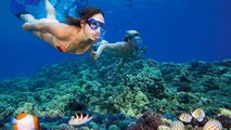 Nỗ lực bảo tồn san hô tại Cát Bà để phát triển du lịch biển bền vững