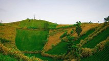 Cả biển hoa dã quỳ vàng rực trong lòng núi lửa Chư Đăng Ya.