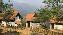(ảnh có tính chất minh họa).