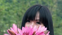 Hà Nội mùa hoa súng nhuộm hồng nỗi nhớ