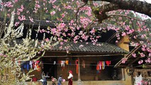 Nhớ Tết