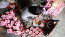 Tô tượng ông Táo.