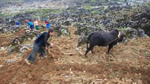 Bà con các dân tộc tỉnh Hà Giang canh tác trên những mảnh nương lởm chởm đá tai mèo.