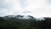 Toàn cảnh đại ngàn Pù Mát.