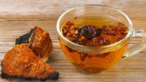 Thần dược nấm Chaga.