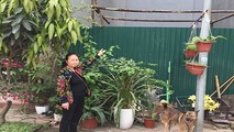 Bà Hoàng Thị Thứ đứng trước mảnh đất đã bốc thăm được