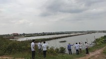 Nhiều hộ gia đình ở xã Cồn Thoi đầu tư tiền của, công sức vào đầm nuôi trồng hải sản ở bãi bồi ven biển đê Bình Minh III huyện Kim Sơn chưa được bồi thường đã giao đất cho doanh nghiệp