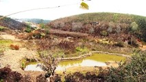 Gần 500 ha cây trồng bị thiệt hại vì thời tiết xấu