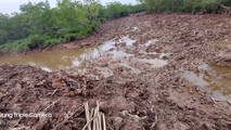 Hiện trường rừng phòng hộ bị chặt phá. Ảnh: Trung Du.
