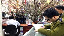Ninh Bình: Quản lý chặt chẽ thị trường dược phẩm không để các hành vi trục lợi, gian lận thương mại