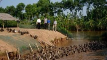 Ninh Bình lo chặn dịch cho tổng đàn gia cầm gần 6 triệu con