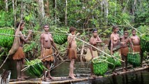 Phụ nữ Korowai hái lượm trong rừng.