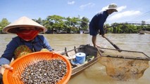 Nhớ tô canh hến dân dã ngày hè