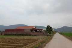 Nhiều công trình kiên cố được xây dựng trên đất của Công ty CP Cá giống Kinh Môn.