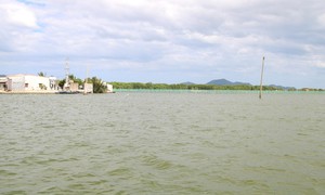Một góc đầm Thị Nại.