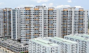 Trong tháng 7/2021, Sở Xây dựng chủ trì phối hợp với Công an TPHCM, UBND các quận huyện, TP.Thủ Đức và các đơn vị liên quan kiểm tra hoạt động hành nghề của các đơn vị quản lý, vận hành nhà chung cư.