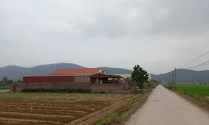 Nhiều công trình kiên cố được xây dựng trên đất của Công ty CP Cá giống Kinh Môn.
