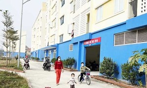 Ảnh minh họa.