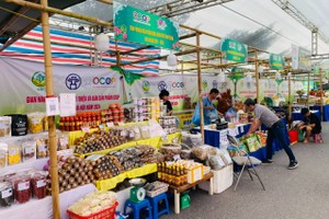 Hà Nội sẽ tiếp tục chủ trì, phối hợp UBND các quận, huyện, thị xã trong công tác phát triển các điểm bán sản phẩm OCOP. 