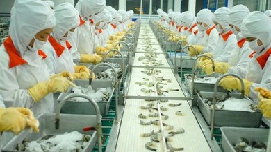 Việt Nam phấn đấu đứng trong số 5 nước hàng đầu thế giới về chế biến thủy sản vào năm 2030.