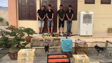 Nhóm 4 'đạo chích' bị bắt trong chuyên án 016T và tang vật các vụ trộm.