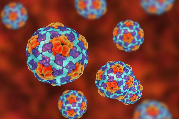 Hình ảnh minh họa về bệnh viêm gan A do virus