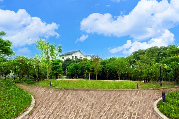 Chủ đầu tư trồng mới nhiều khu cây xanh, giúp cảnh quan thay đổi từng ngày.