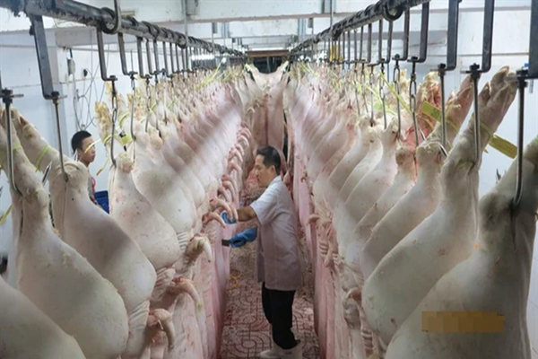 Các địa phương được yêu cầu chấn chỉnh quản lý hoạt động giết mổ động vật